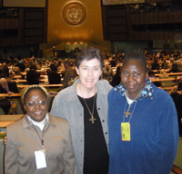 NDVS at the UN